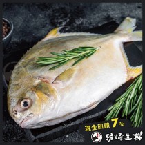 【599免運】國產嚴選富貴金錩魚1隻組(1隻-760公克)