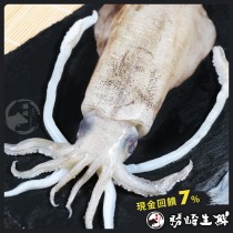 【599免運】鮮脆活凍軟絲1隻組(1隻-330公克)