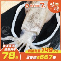 【免運直送】鮮脆活凍軟絲(1隻-330公克)