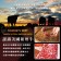 【免運直送】美國9+和州牛雪花沙朗牛排(1片-300公克)