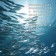 【免運直送】挪威薄鹽鯖魚切片(1片-150公克)