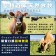 【599免運】紐西蘭PS嫩肩牛排1片組(1片-100公克)