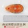 【免運直送】鮮切鮭魚片(1片-100公克)